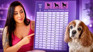 1 ANO NÃO SÃO 7 ANOS!!!! Descubra quantos anos seu cachorro teria se fosse humano!