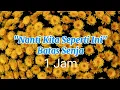 Download Lagu Batas Senja - Nanti Kita Seperti Ini (Lirik-1 Jam)