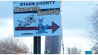 at the Humane Society of Stark County