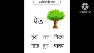 SYNONYMS OF TREE