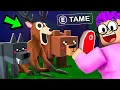 Download Lagu We Tamed EVERY Animal in 99 Nights in the Forest Roblox...!?