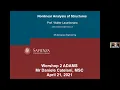Workshop on MSC Adams by Mr Daniele Catelani April 21 2021