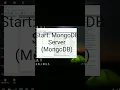 Resolve Mongo Connect error ECONNREFUSED 127 0 0 1 27017