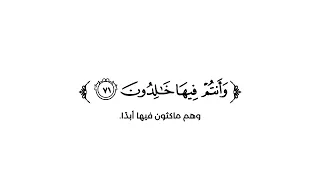 كروما شاشة بيضاء قرآن كريم تلاوة من سورة الزخرف القارئ شايع التميمي 