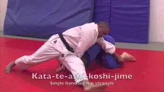 Judo BJA 1st Kyu Brown Belt Requirements
