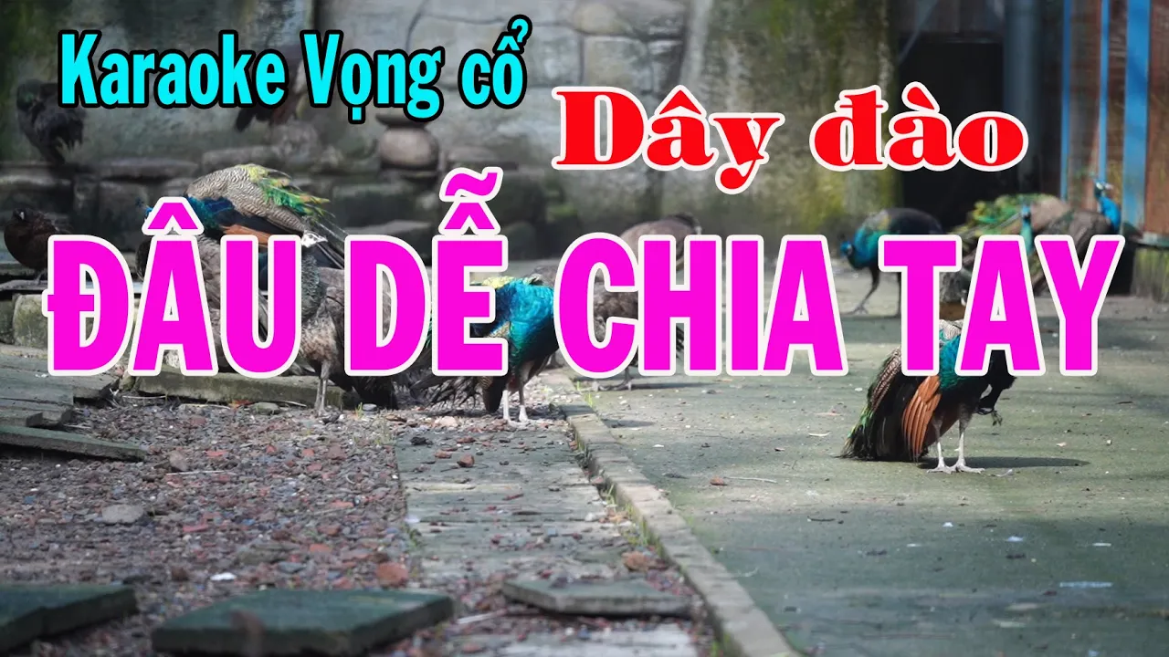 Karaoke vọng cổ ĐÂU DỄ CHIA TAY - DÂY ĐÀO