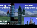 Showcasing builds of another entire Terraria World