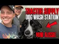 We Tried the 9 99 Tractor Supply Dog Wash - Is It Worth It