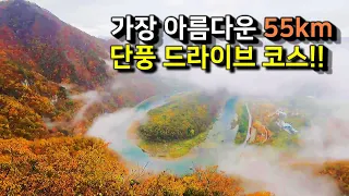전국 제일의 55km 단풍 드라이브 코스를 소개합니다. 강원도 정선의 동강과 계곡을 따라 달리는 내내 탄성을 자아냅니다. 썸네일