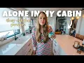Download Lagu ALLEEN in mijn HUT op Spitsbergen ︱ *Stroomstoring, boodschappen doen, klusjes etc.