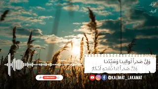 ق ذى  ب ع ين ك  أ م ب الع ين  ع و ار    الخنساء   ترثي أخاها صخر     نواف دندنها