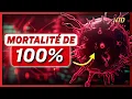 Download Lagu Une souche synthétique du H5N1 tue TOUS les mammifères exposés