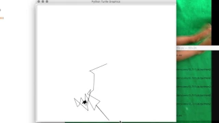 Random Turtle Movement Python Module