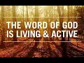 DW Class 26 - Each Word of Jesus is a Gift