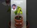 120 Days in 1 Min Growing Durian Tree Form Seed timelapse #shorts #viral #short