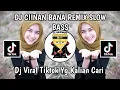 Download Lagu DJ CIINAN BANA REMIX SLOW BASS FAUZANA🎶DJ CIINAN BANA MINANG SLOW BASS VIRAL TIKTOK TERBARU