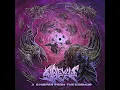 Quantum Strings - Devil's Reef