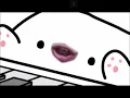 Bongo Cat LETS GO