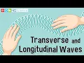 Transverse and Longitudinal Waves
