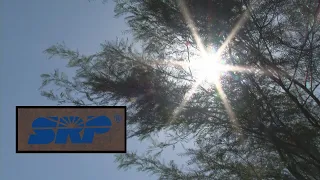 Some SRP customers worried about summer power shutoffs