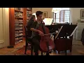 Tarantella Opus 33 (David Popper) - Ginsparg/Salmirs