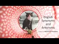 English Synonyms and Antonyms Section 02 Absolute to Accessory