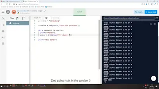 SDD Lesson 10 - Conditional loops