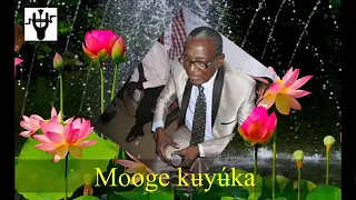 فنان عبدكيوكا 1 