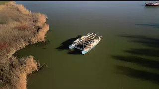 Wildling Sailing Live Stream