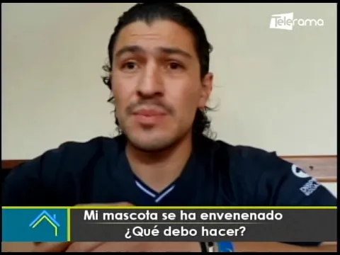 Mi mascota se ha envenenado ¿Qué debo hacer?