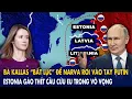 Lagu Bà Kallas “bất lực” để Narva rơi vào tay Putin: Estonia gào thét cầu cứu EU trong vô vọng