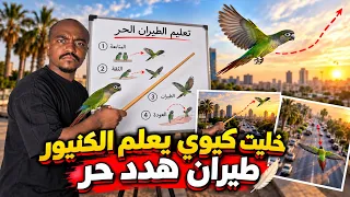مني مكاو يعلم الكنيور هدد خارجي🔥🐣