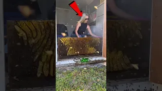 إزالة خلايا النحل من الأرض 