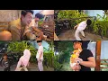 Download Lagu MALMINGAN LENGKAP PODO NDAGEL !! DEK KAIA JADI BAHAN ROASTING HAHAHA