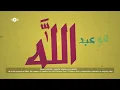 Maher Zain - Mawlaya (Arabic) | ماهر زين - مولاي