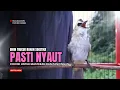 Download Lagu TRUCUKAN gacor TARUNG ROPEL PANJANG pancingan trucukan agar bunyi MASTERAN trucuk gacor EMOSI