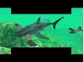 Download Lagu The Ocean Hunter: 2-player local co-op playthrough (no commentary)