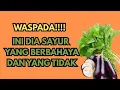 Download Lagu LANSIA WAJIB TAHU! 5 Sayur Yang berbahaya dan 5 Sayur Yang Menyehatkan Di Usia 60+