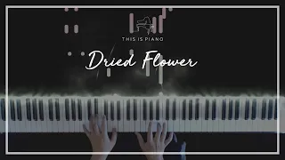 Download 유우리 (Yuuri, 優里) | 드라이 플라워 (Dried Flower, ドライフラワー) | Piano Cover MP3