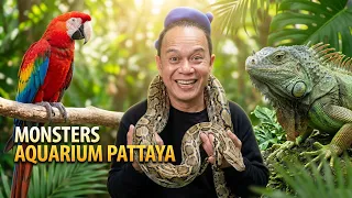 Monsters aquarium pattaya ที่เดียวครบทุกสัตว์ I เพื่อนรักสัตว์เอ๊ย
