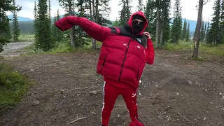                           دندنها
