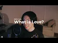 What is Love? - 트와이스 (TWICE) | Cover by Chris Andrian Yang