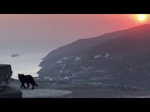 Cinéma du réel 2020 - LETHE de Christophe Pellet