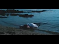 Download Lagu Nemo Schiffman - I Don't Mind (Official Video)