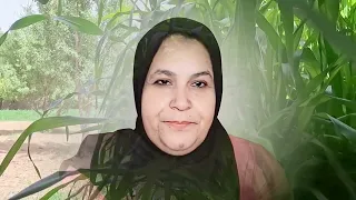 عتقو الحاج رونها مع المسطيج بسباب خسيفينا وسميره كتشحر المخسور الكداب 