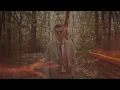Željko Vasić - Jedna ljubav manje više (Official Video 2021)