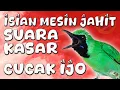 Download Lagu TEMBAKAN MESIN JAHIT SUARA PEDAS BUNYI KERAS, BUAT PANCINGAN JOS GANDOSS ATAU BUAT MASTERAN MASIH OK