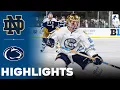 Notre Dame vs Penn State | NCAA College Hockey | Highlights - January 03, 2025