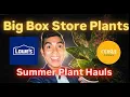 I Visited Multiple Lowe s to Find RARE Houseplants For Cheap Summer 2026 Compilation of Trips