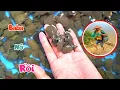 Download Lagu Không Ổn Rồi Nước Lũ Lại Dâng Cao Khả Năng Vượt Lịch Sử Và Tin Vui Baba Đã Nở / Quế Nghịch